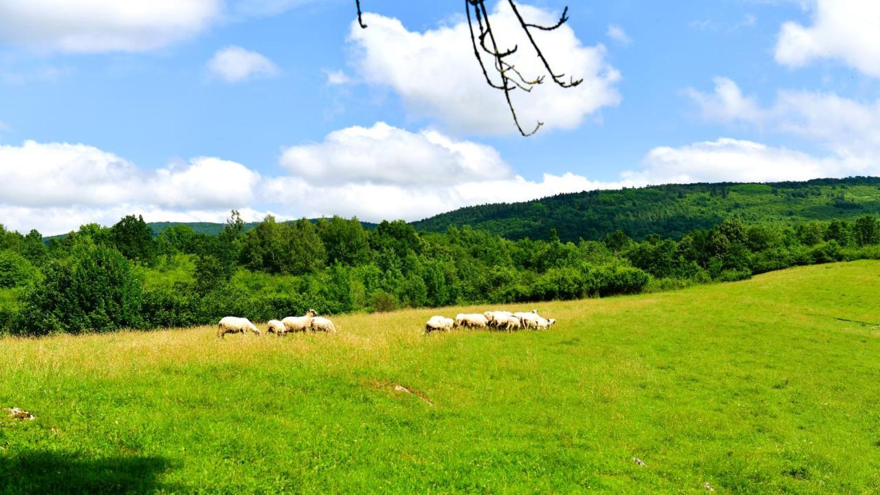 Natura Hause Rakovica Kültér fotó