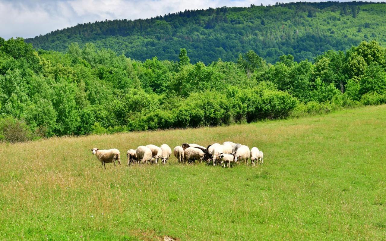 Natura Hause Rakovica Kültér fotó
