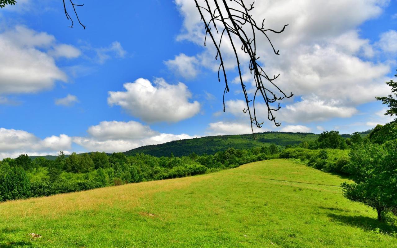 Natura Hause Rakovica Kültér fotó