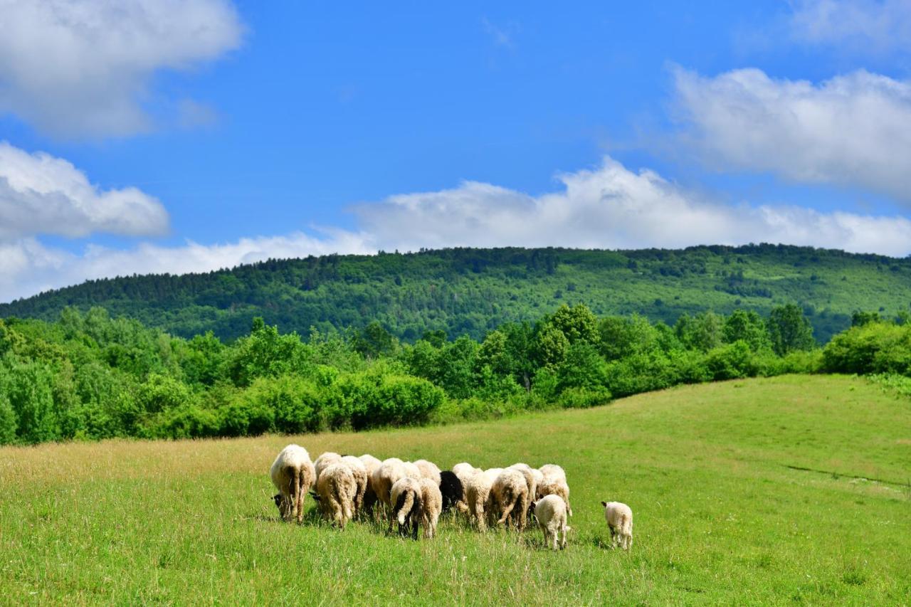 Natura Hause Rakovica Kültér fotó